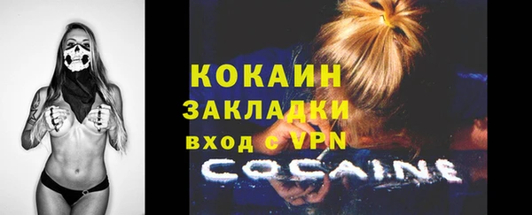 прущие грибы Куйбышев