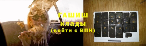 прущие грибы Богданович