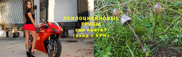 прущие грибы Куйбышев