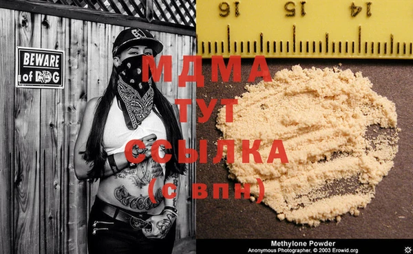 прущие грибы Куйбышев