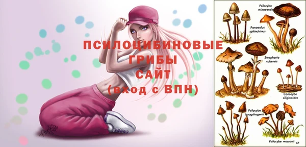 прущие грибы Куйбышев