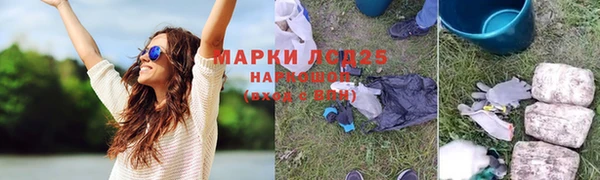 прущие грибы Куйбышев