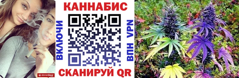 даркнет сайт  площадка официальный сайт  Бошки марихуана Amnesia  Мариинский Посад 